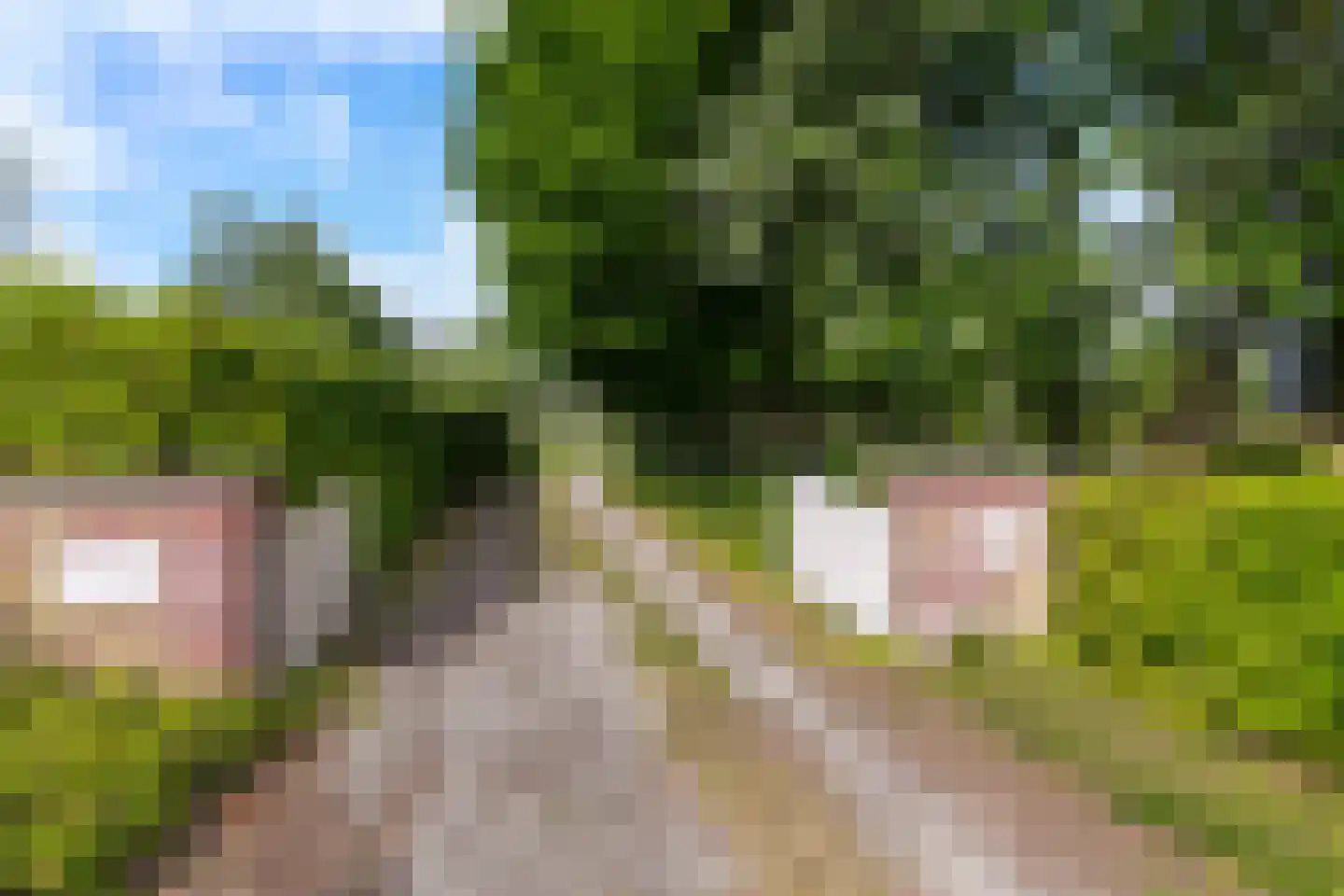 Wergeasterdyk 44 Goutum thumbnail 4