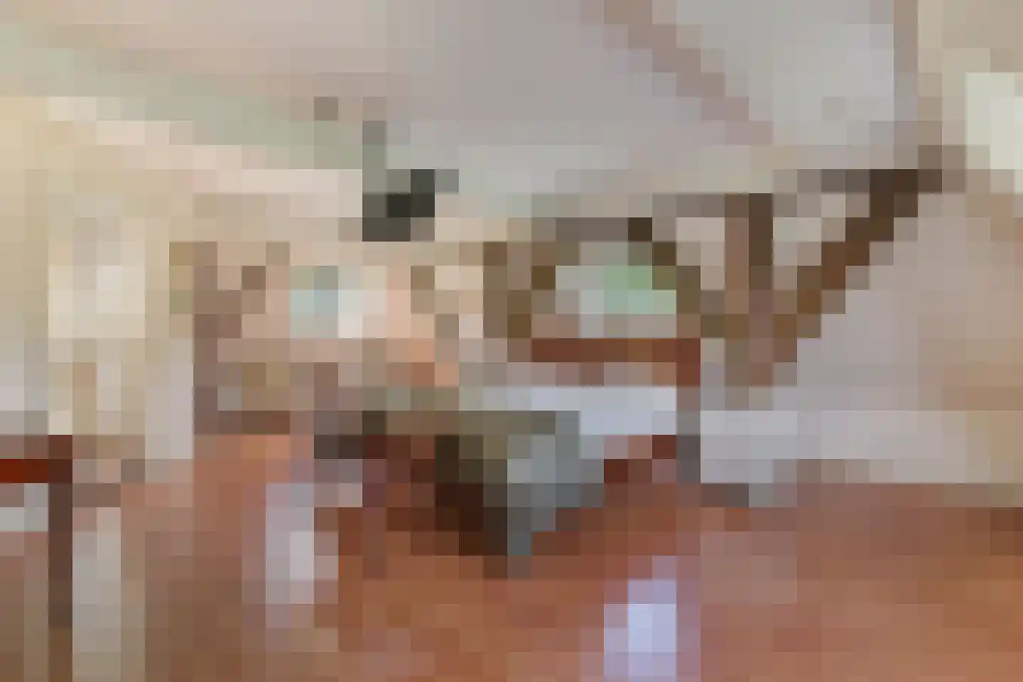 Wergeasterdyk 44 Goutum thumbnail 43