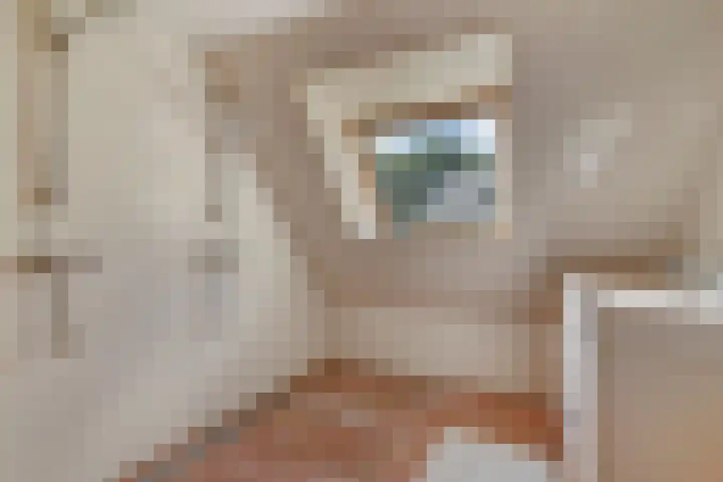 Wergeasterdyk 44 Goutum thumbnail 45