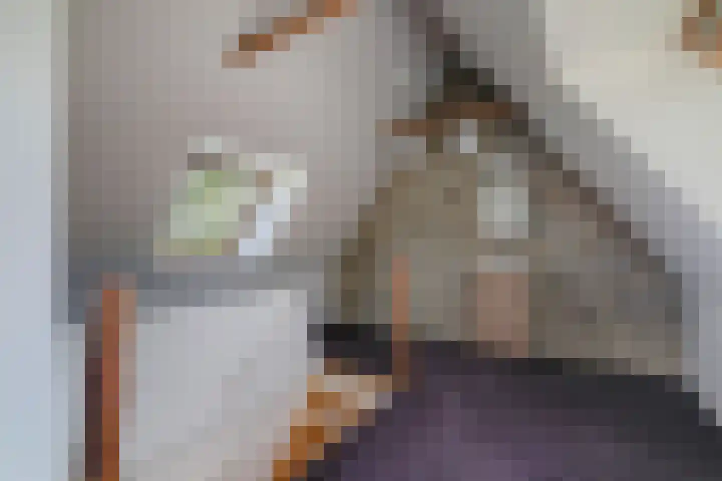 Wergeasterdyk 44 Goutum thumbnail 48