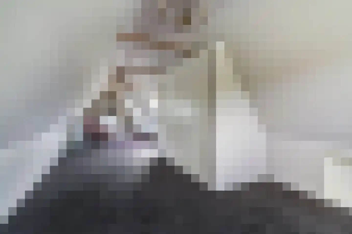 Wergeasterdyk 44 Goutum thumbnail 49