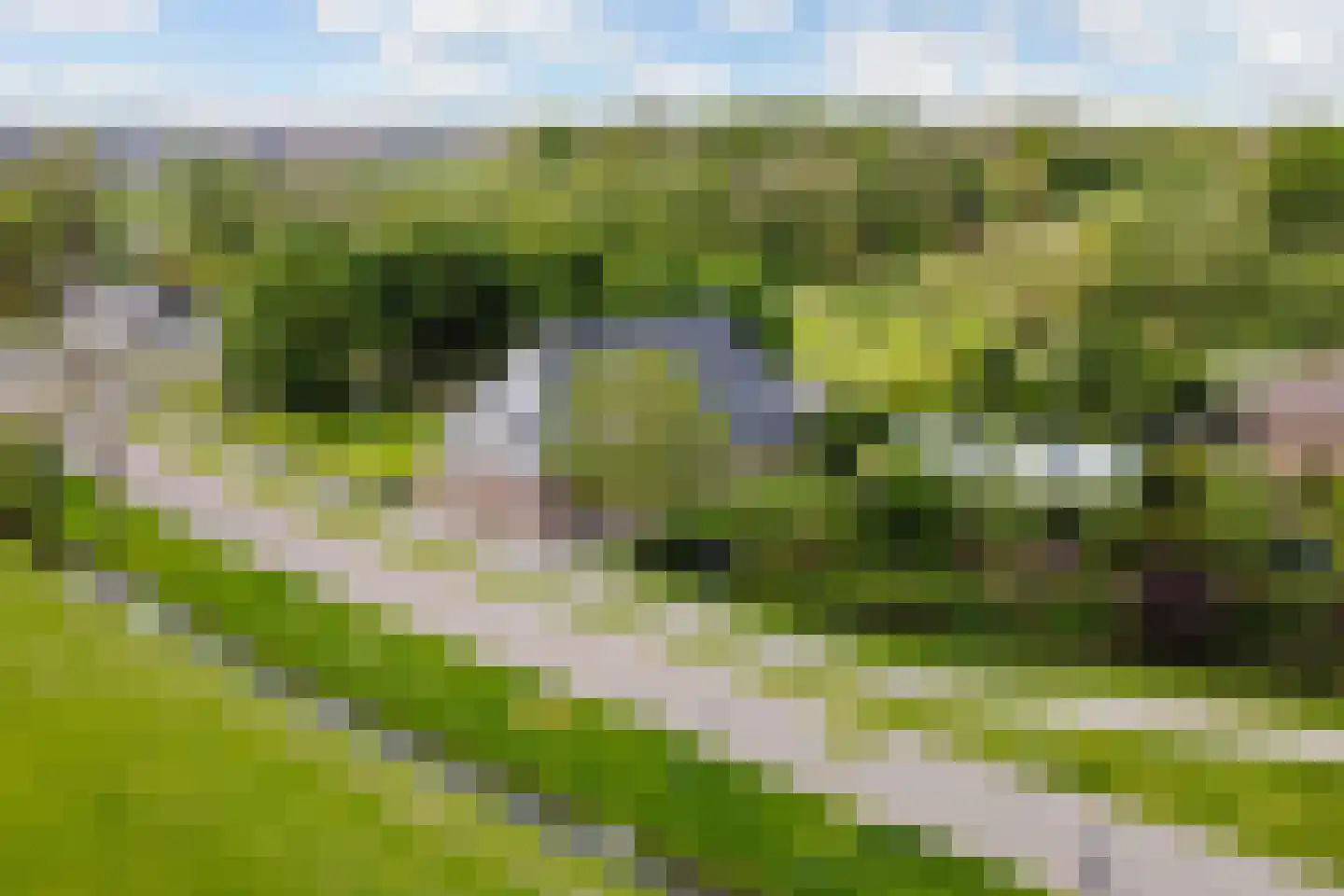 Wergeasterdyk 44 Goutum thumbnail 52