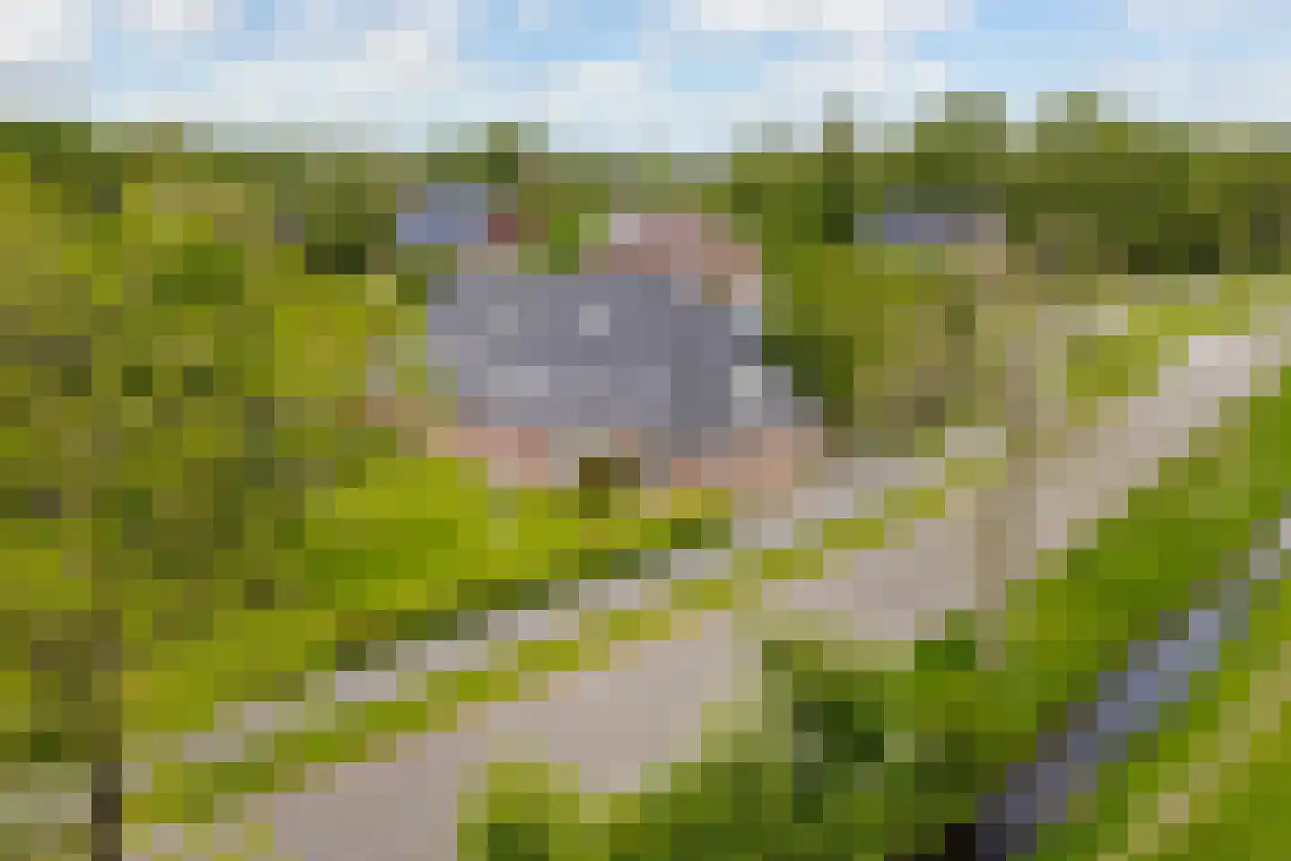 Wergeasterdyk 44 Goutum thumbnail 53