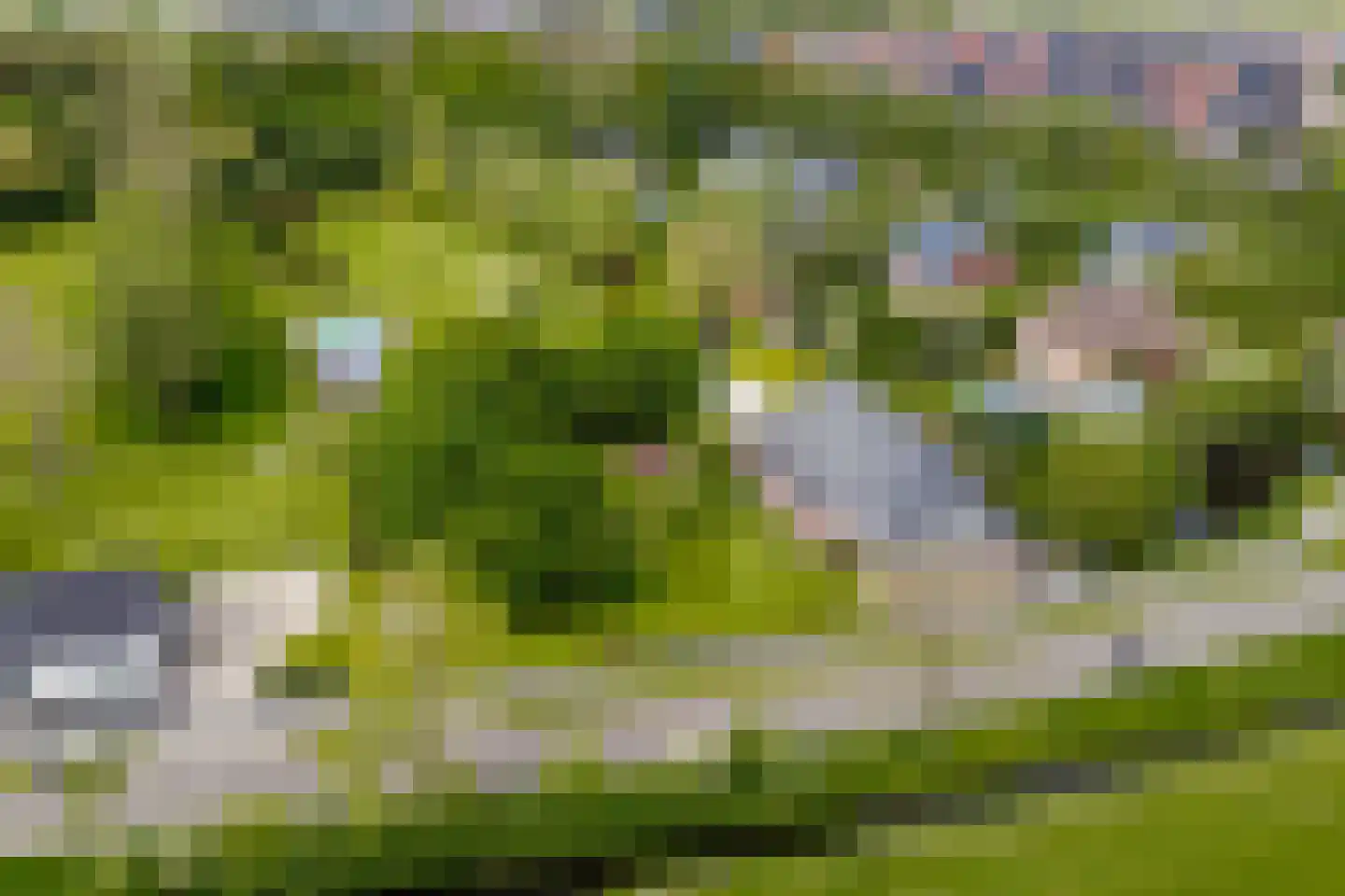 Wergeasterdyk 44 Goutum thumbnail 54