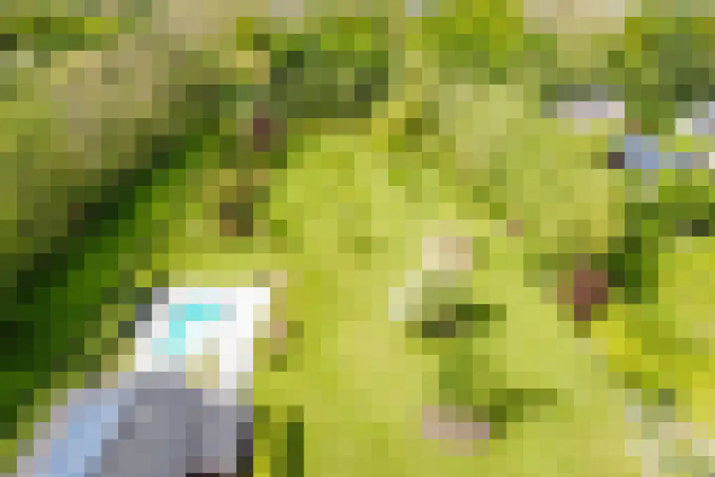 Wergeasterdyk 44 Goutum thumbnail 55