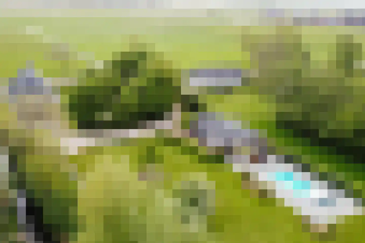 Wergeasterdyk 44 Goutum thumbnail 56