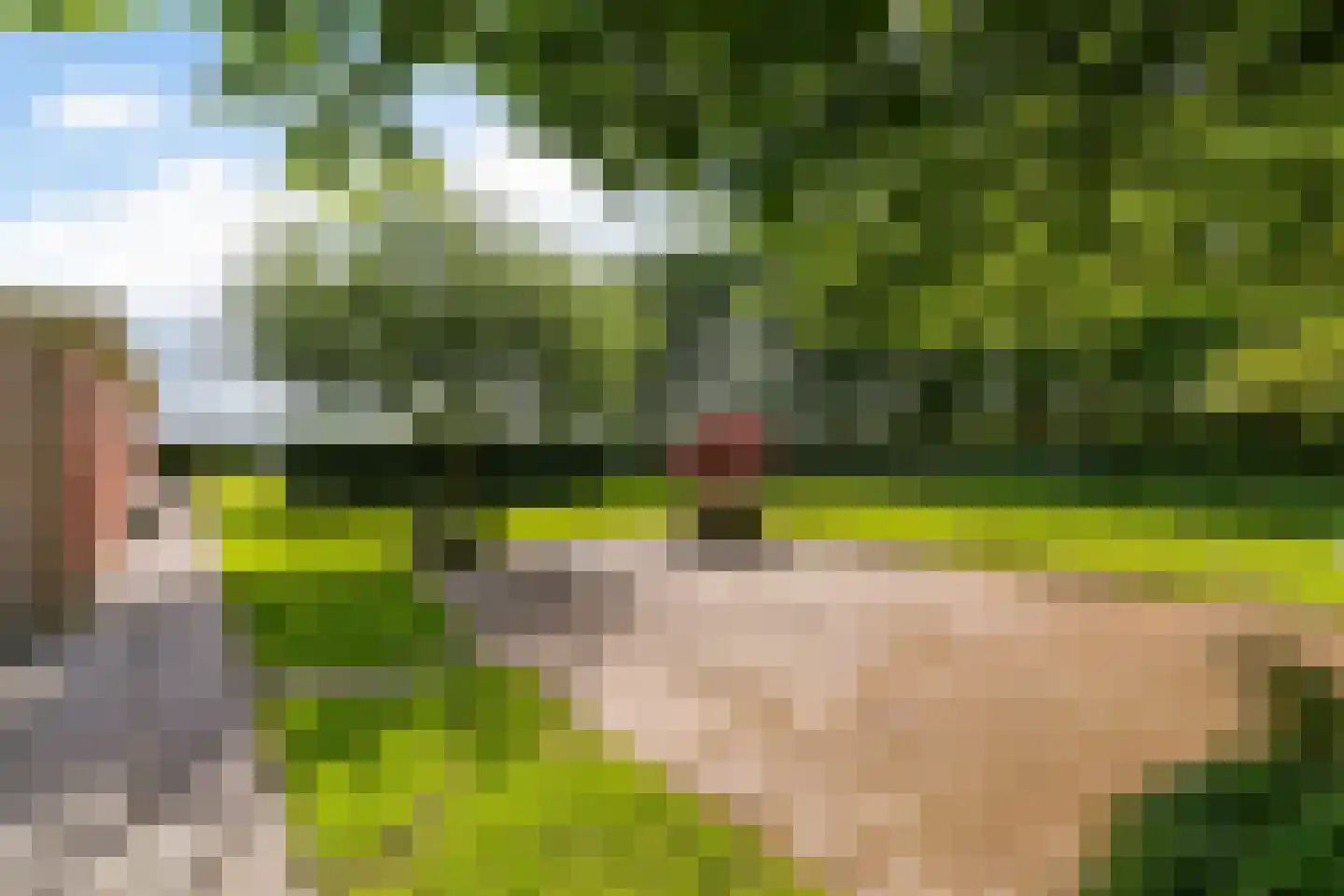 Wergeasterdyk 44 Goutum thumbnail 6