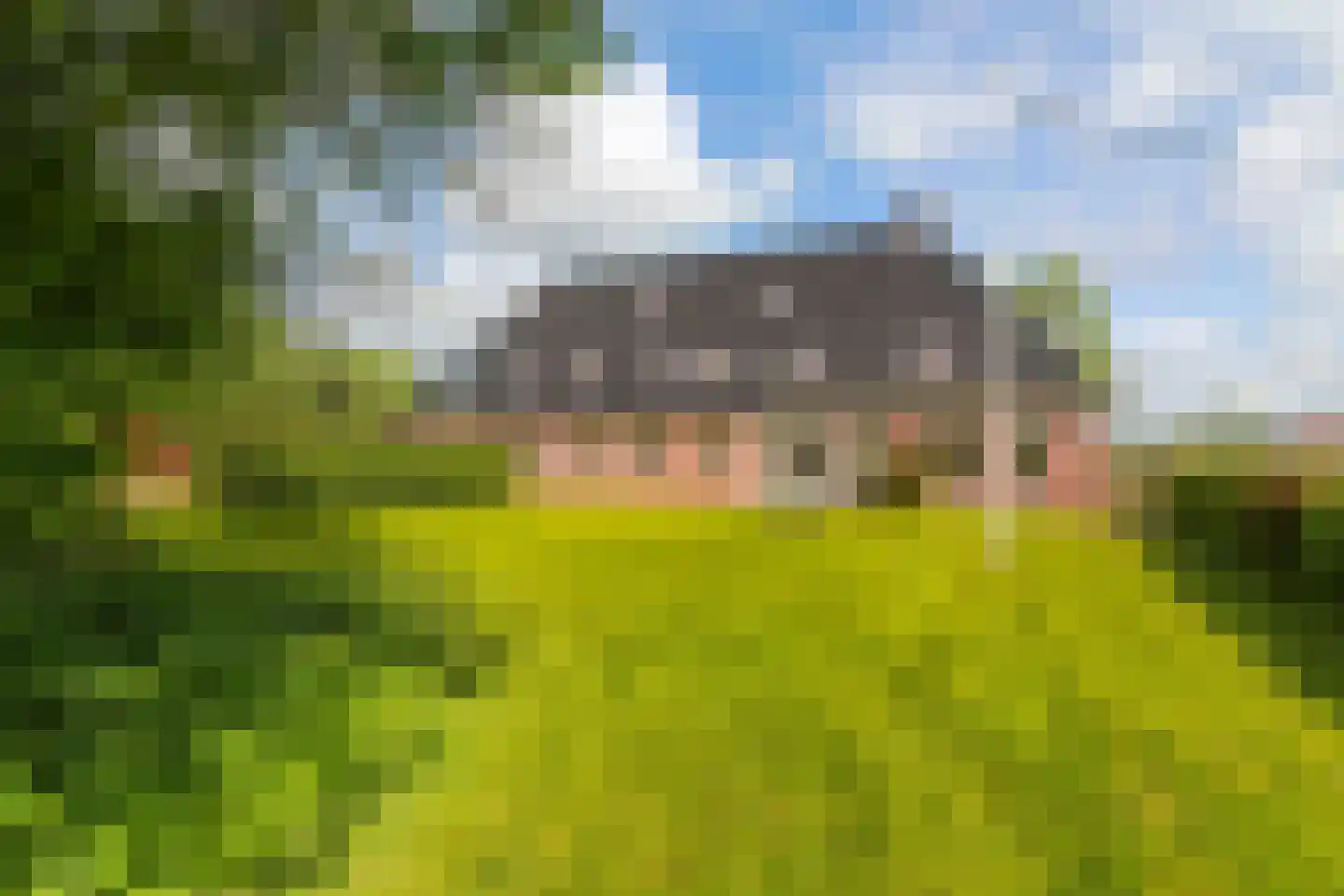 Wergeasterdyk 44 Goutum thumbnail 9