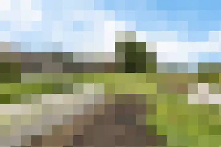 Wergeasterdyk 45 Leeuwarden thumbnail 14