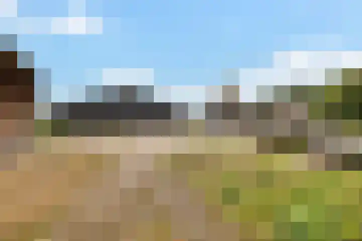 Wergeasterdyk 45 Leeuwarden thumbnail 15