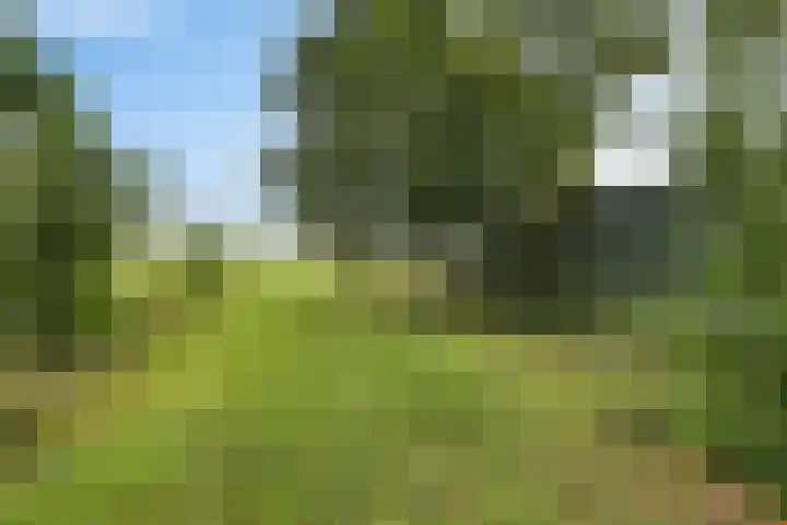Wergeasterdyk 45 Leeuwarden thumbnail 17
