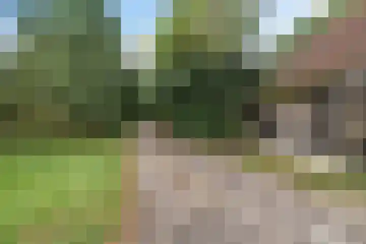 Wergeasterdyk 45 Leeuwarden thumbnail 18