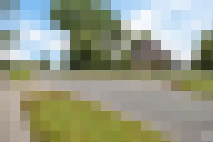 Wergeasterdyk 45 Leeuwarden thumbnail 19