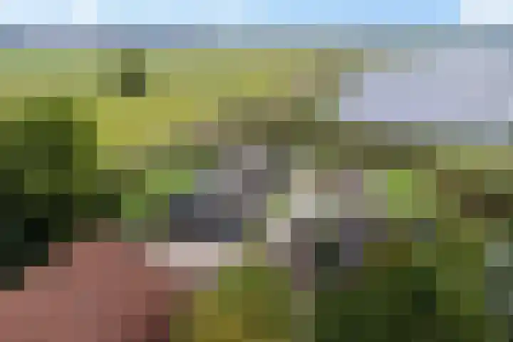 Wergeasterdyk 45 Leeuwarden thumbnail 20