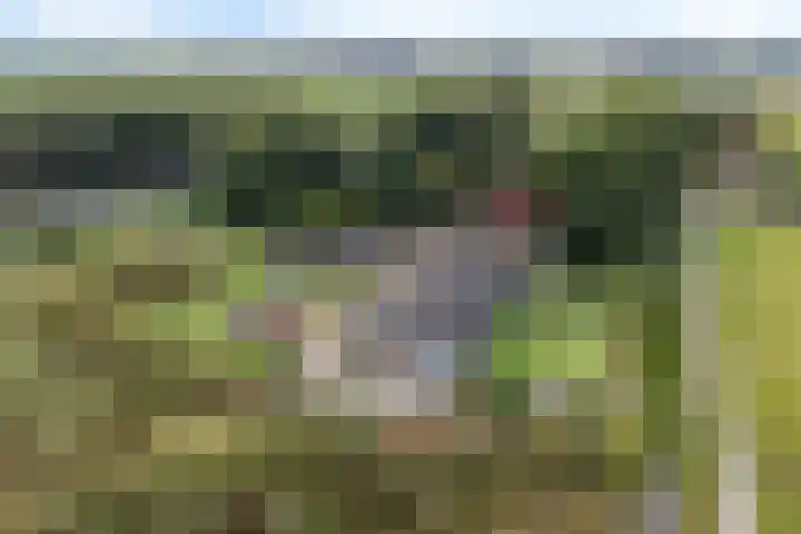 Wergeasterdyk 45 Leeuwarden thumbnail 21