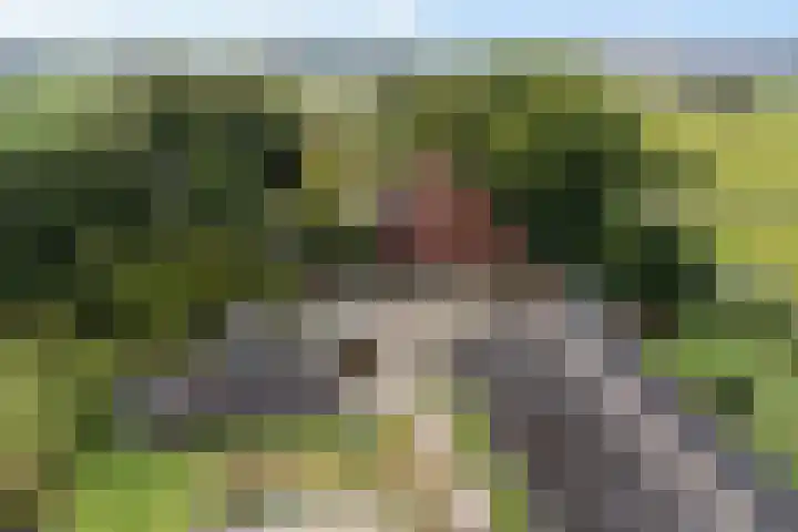 Wergeasterdyk 45 Leeuwarden thumbnail 24