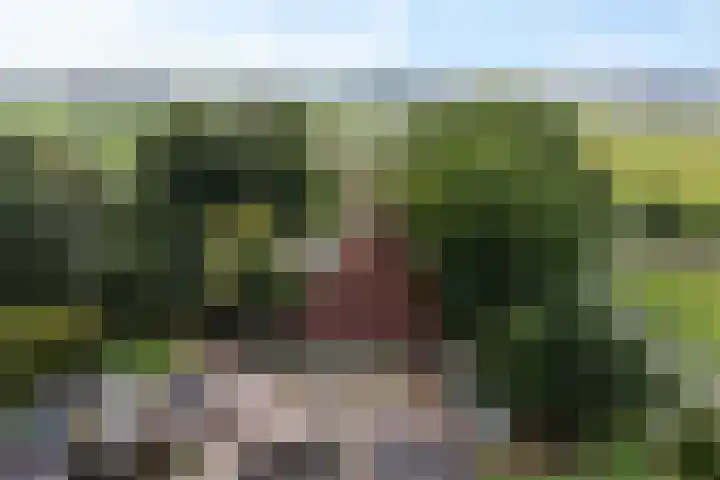 Wergeasterdyk 45 Leeuwarden thumbnail 25