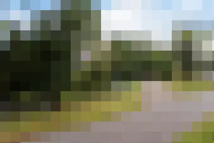 Wergeasterdyk 45 Leeuwarden thumbnail 28