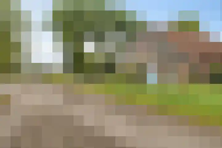 Wergeasterdyk 45 Leeuwarden thumbnail 5