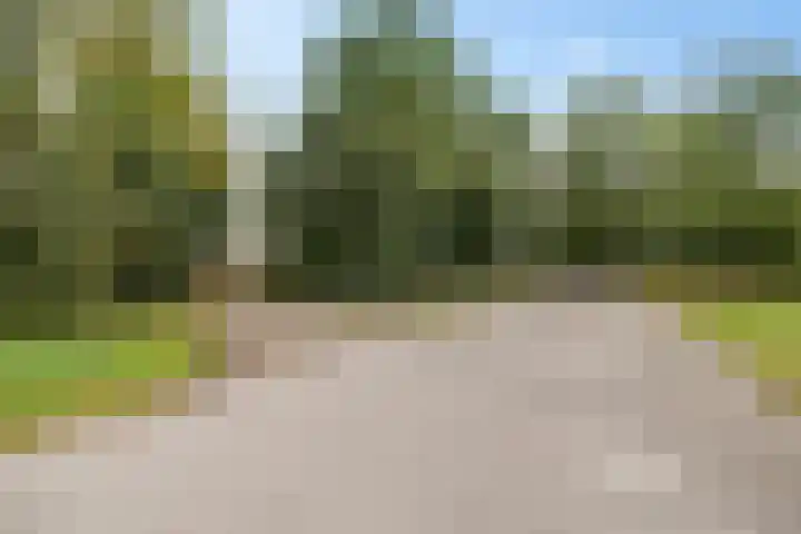 Wergeasterdyk 45 Leeuwarden thumbnail 6