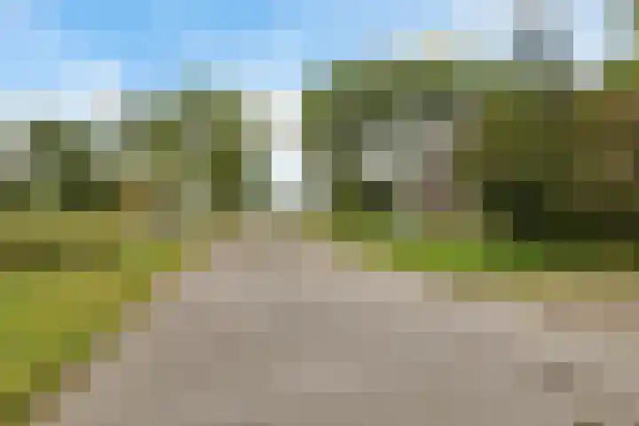 Wergeasterdyk 45 Leeuwarden thumbnail 7