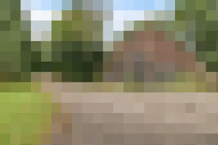 Wergeasterdyk 45 Leeuwarden thumbnail 8