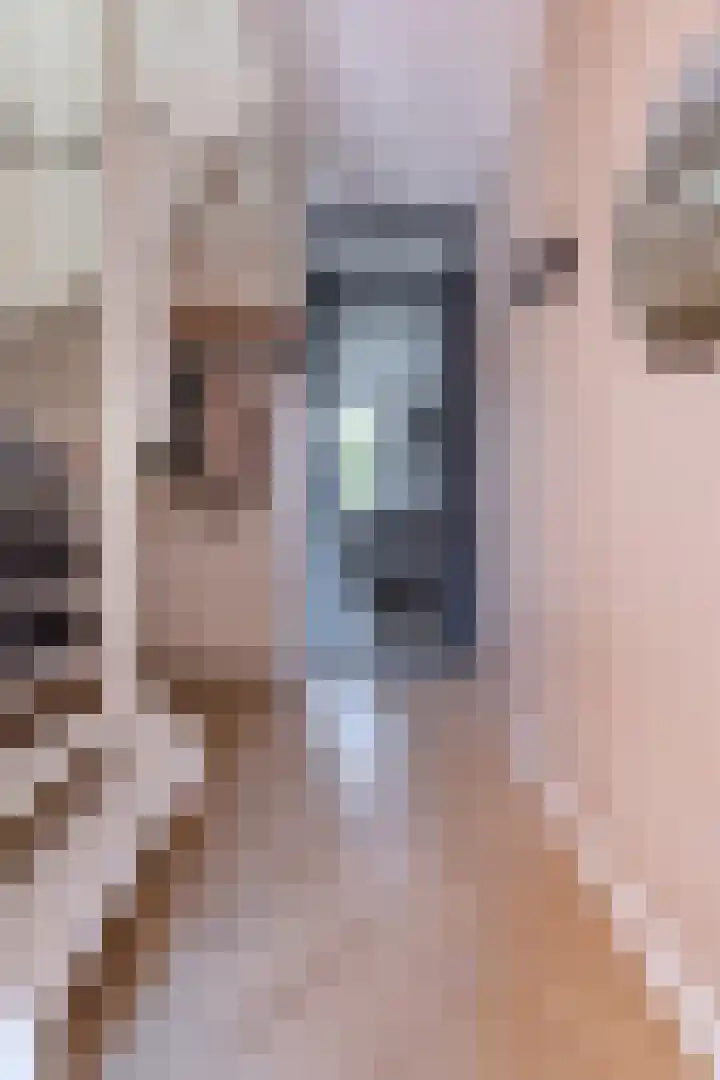 Wergeasterdyk 58 e Leeuwarden thumbnail 13
