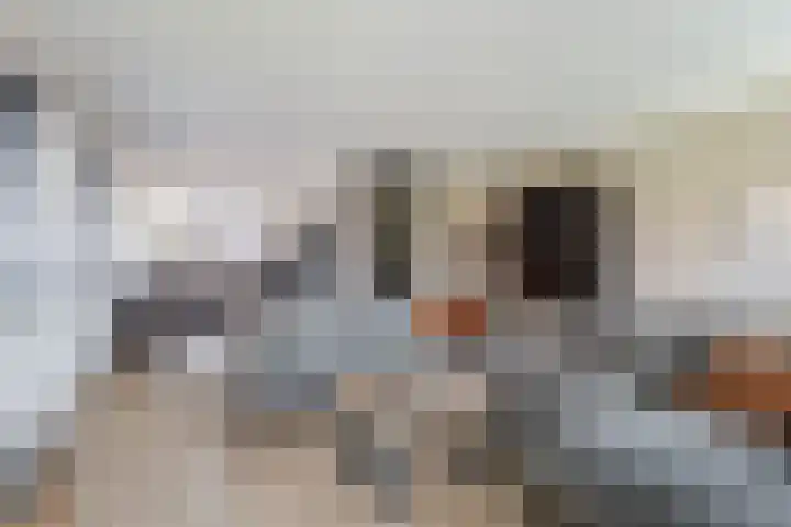 Wergeasterdyk 58 e Leeuwarden thumbnail 21