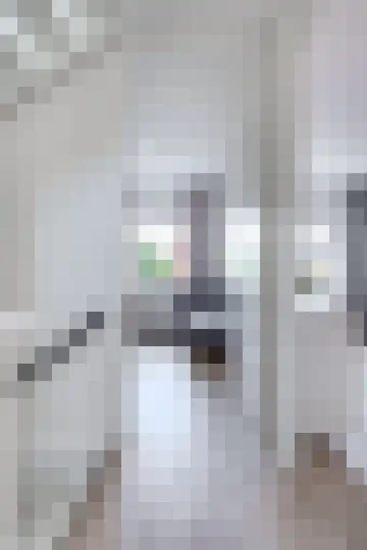 Wergeasterdyk 58 e Leeuwarden thumbnail 27