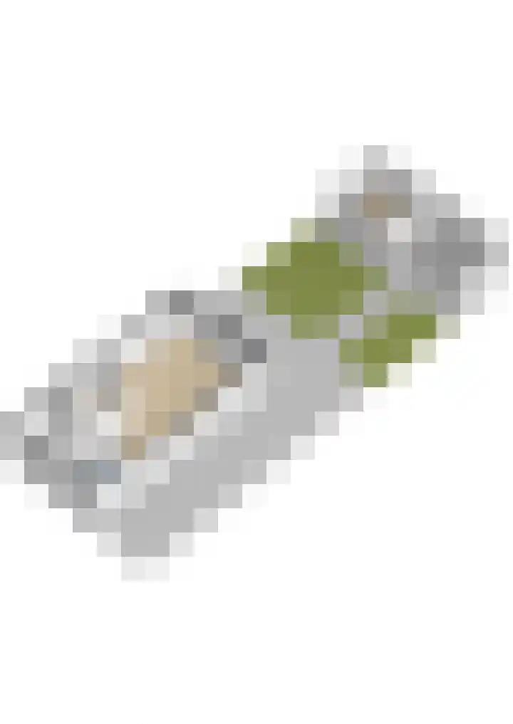 Wergeasterdyk 58 e Leeuwarden thumbnail 63