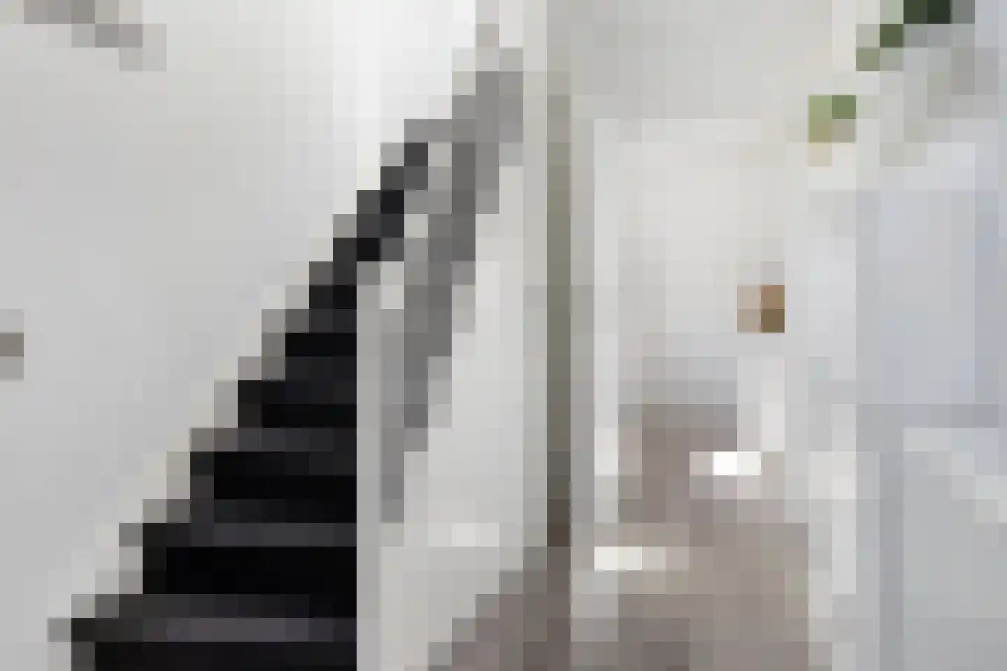 Wergeasterdyk 6 Goutum thumbnail 19
