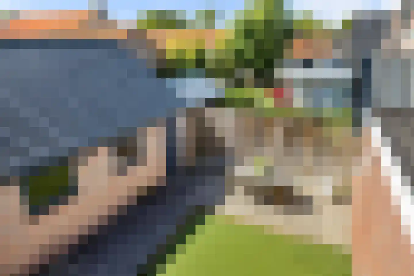 Wergeasterdyk 6 Goutum thumbnail 40