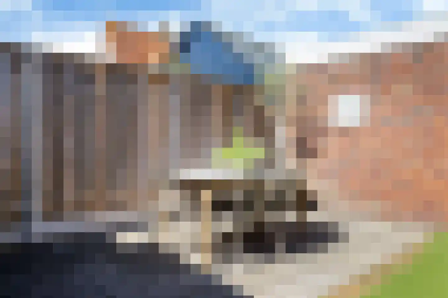 Wergeasterdyk 6 Goutum thumbnail 41