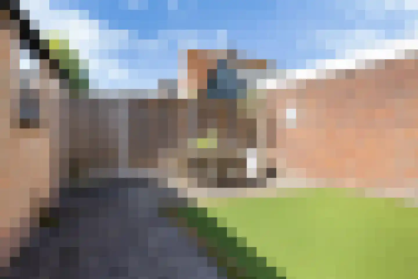 Wergeasterdyk 6 Goutum thumbnail 42
