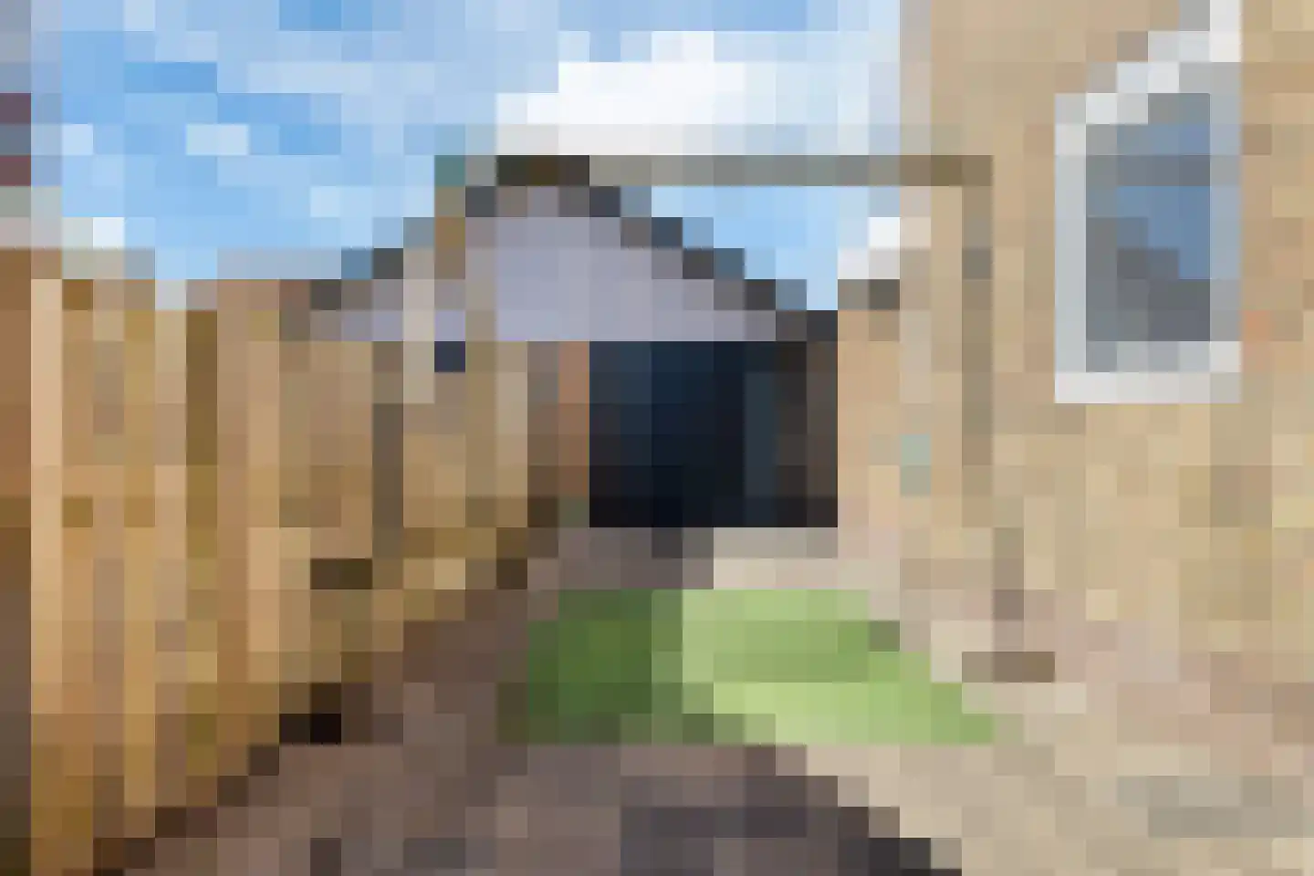 Wergeasterdyk 6 Goutum thumbnail 47