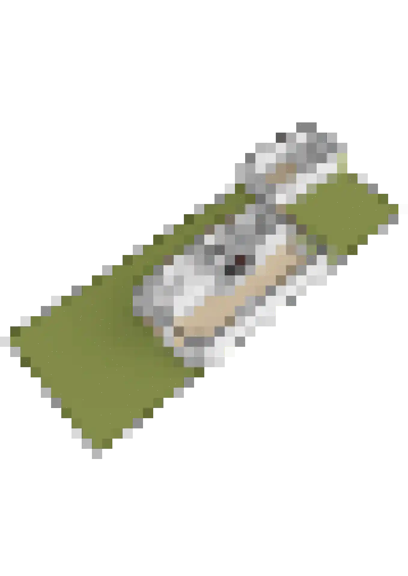 Wergeasterdyk 6 Goutum thumbnail 65