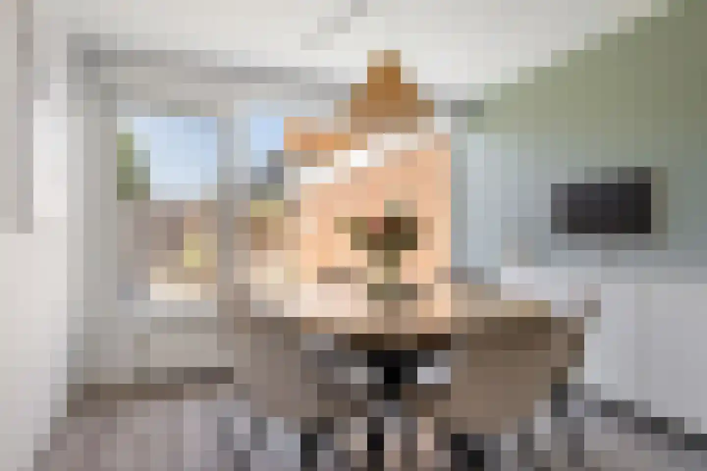 Wergeasterdyk 6 Goutum thumbnail 7