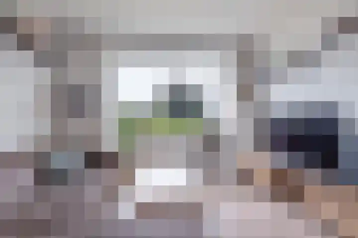 Wergeasterdyk 7 Goutum thumbnail 14