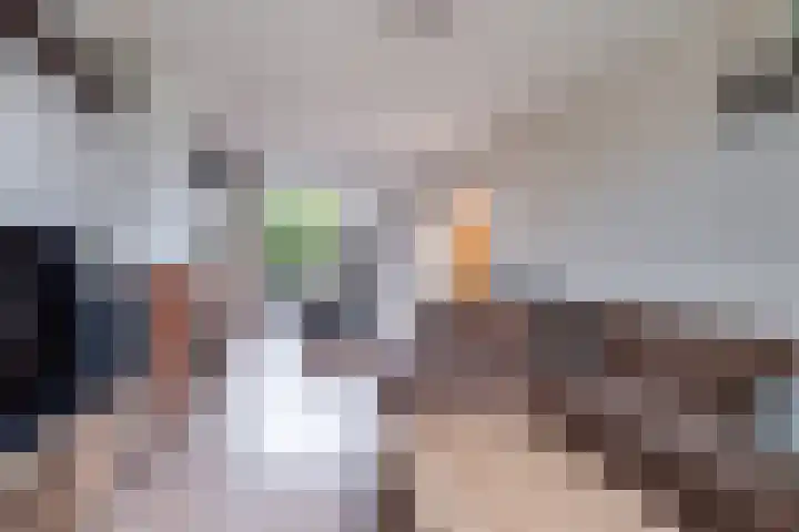 Wergeasterdyk 7 Goutum thumbnail 16