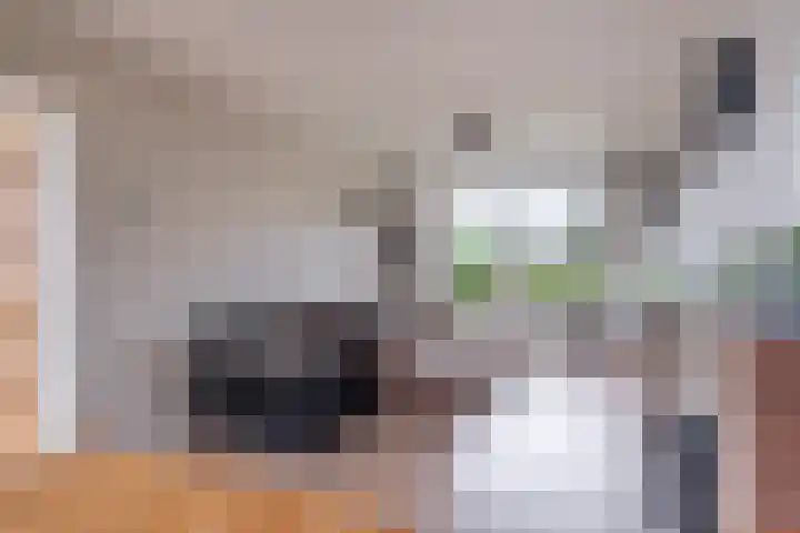 Wergeasterdyk 7 Goutum foto 2