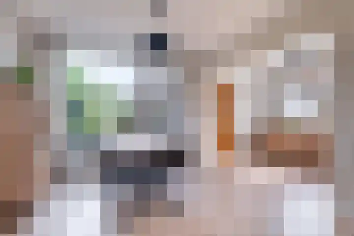Wergeasterdyk 7 Goutum thumbnail 21