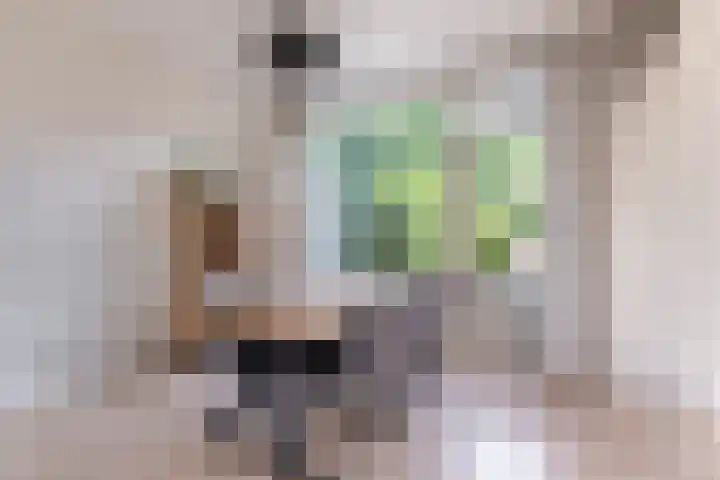 Wergeasterdyk 7 Goutum thumbnail 22