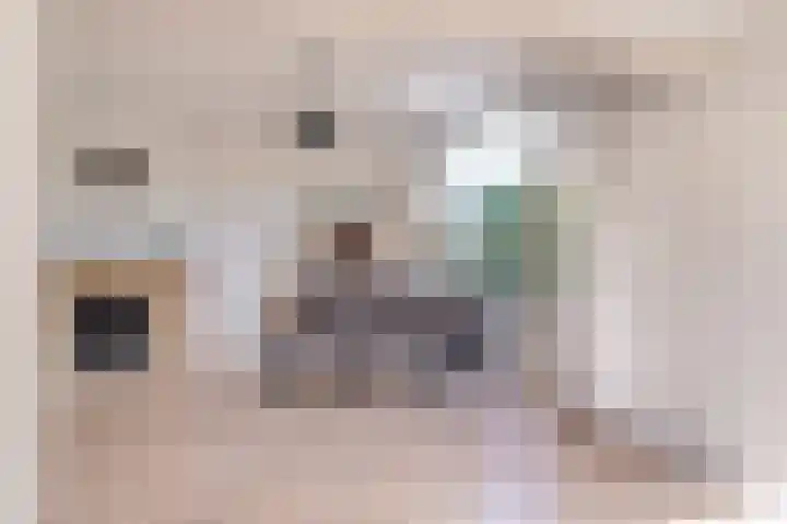 Wergeasterdyk 7 Goutum thumbnail 23