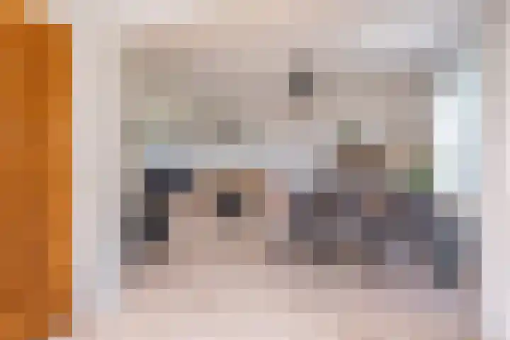 Wergeasterdyk 7 Goutum thumbnail 24