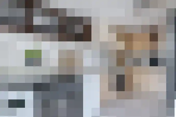 Wergeasterdyk 7 Goutum thumbnail 26