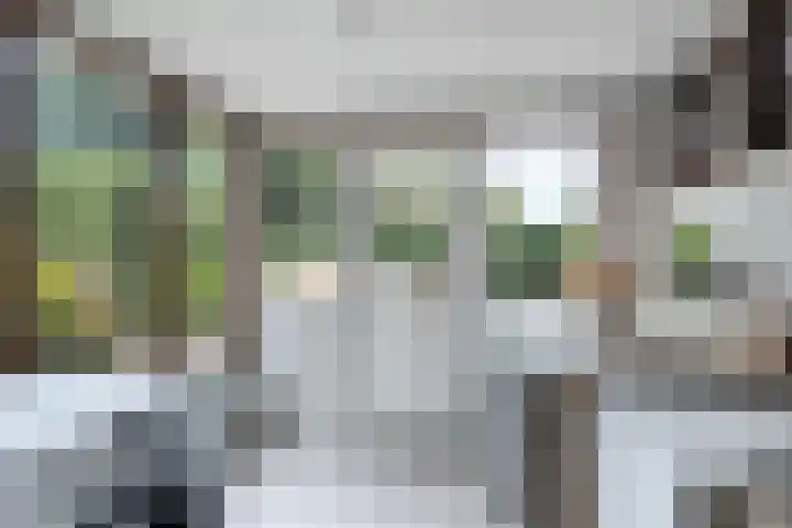 Wergeasterdyk 7 Goutum thumbnail 27