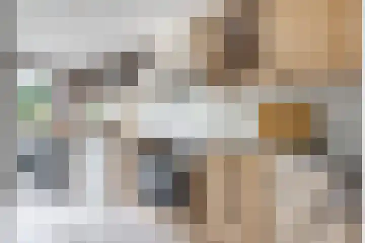 Wergeasterdyk 7 Goutum thumbnail 28