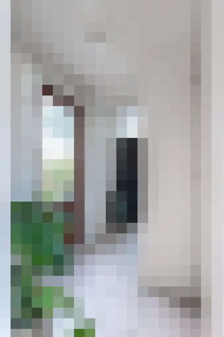 Wergeasterdyk 7 Goutum thumbnail 29