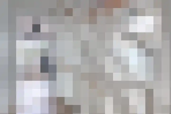 Wergeasterdyk 7 Goutum thumbnail 30