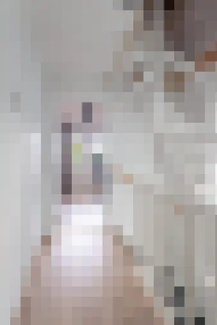 Wergeasterdyk 7 Goutum thumbnail 31